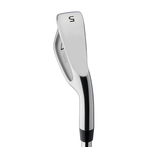 Alpha C2 Fly Forged Iron - Image 3